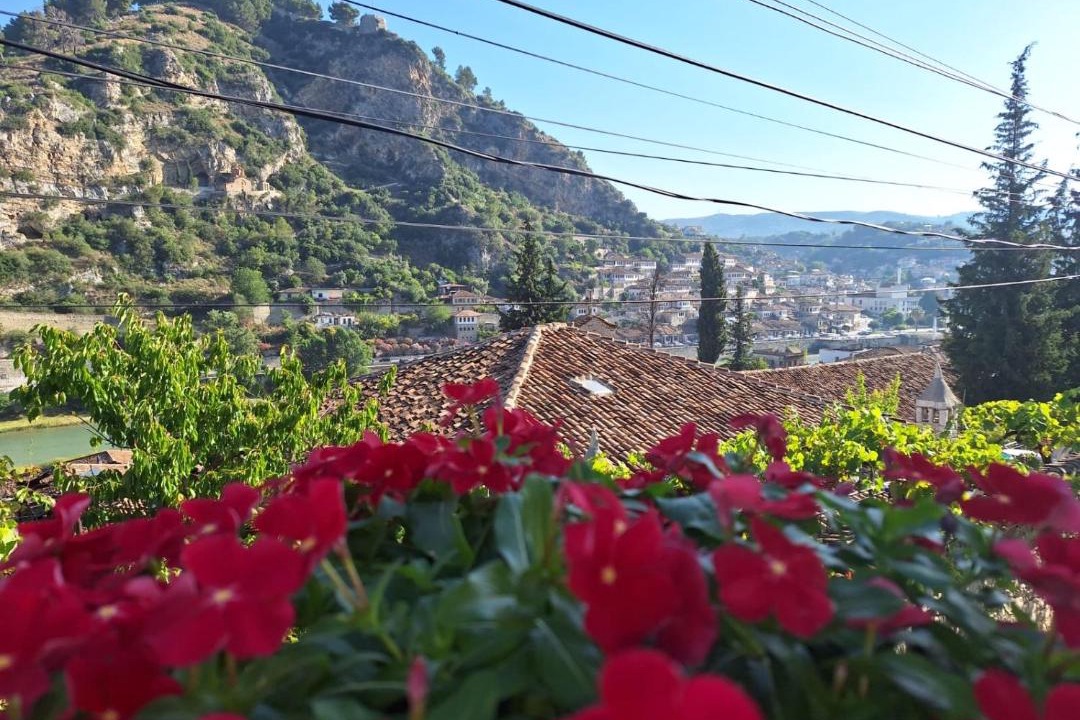 Photo of Others in Berat