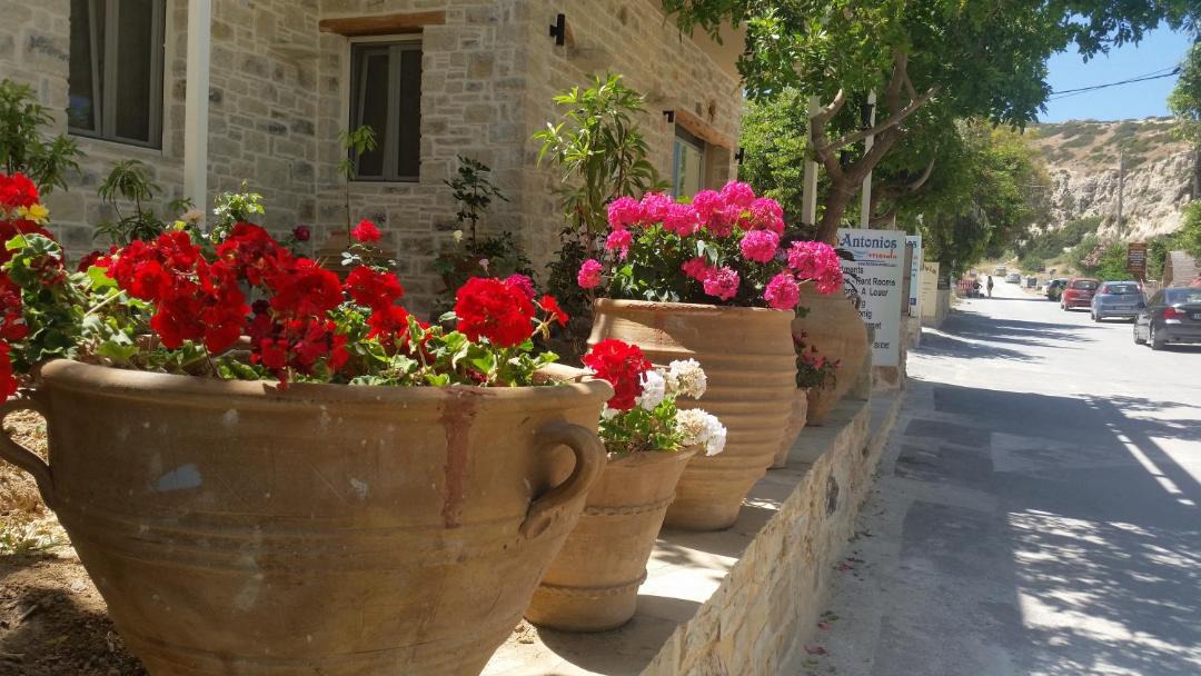 Photo of Others in Matala