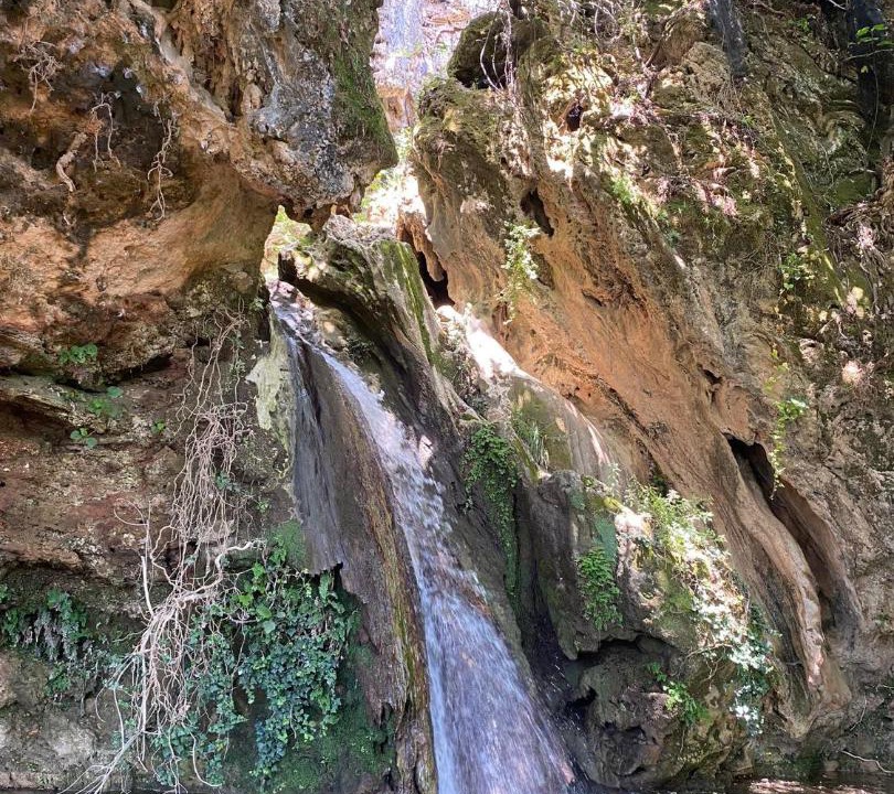 Photo of Others in Anthousa