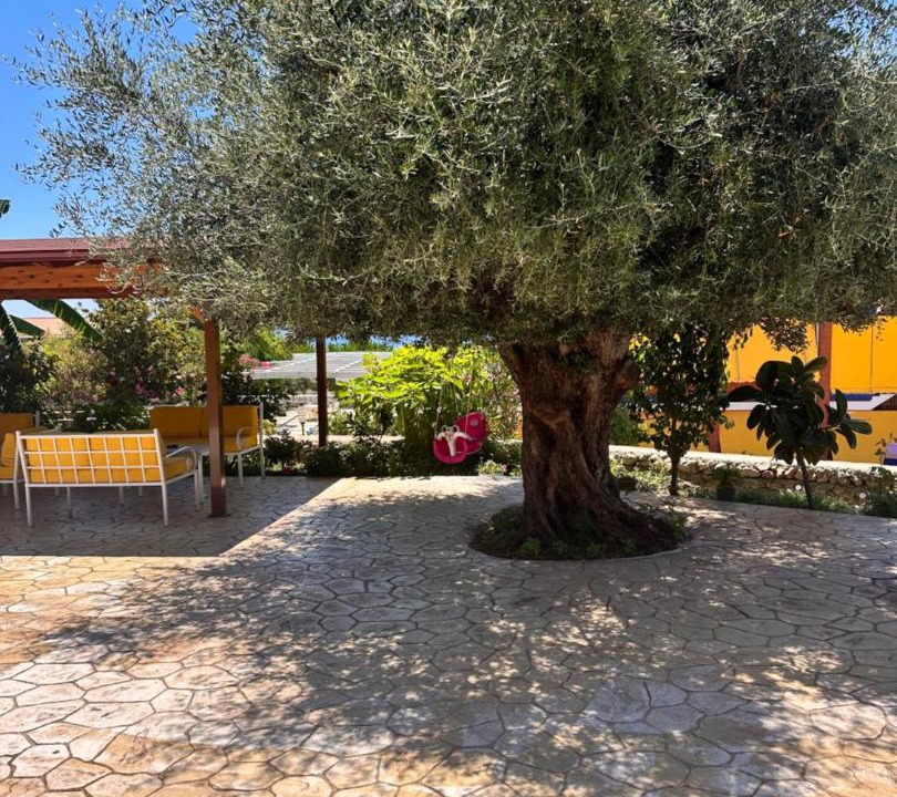 Photo of Others in Dhermi