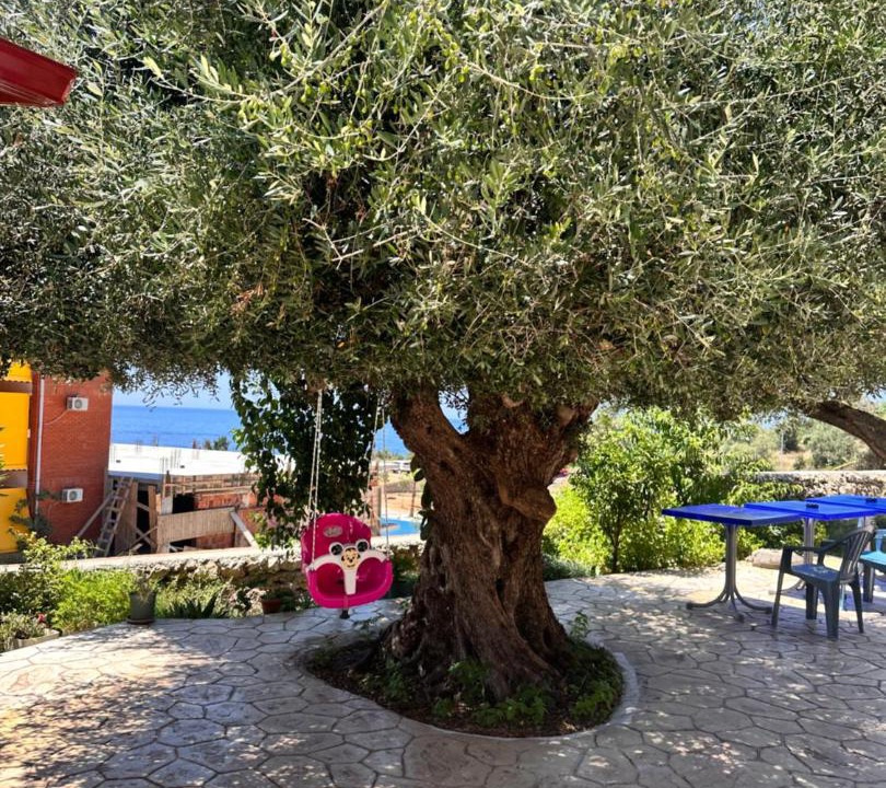 Photo of Others in Dhermi