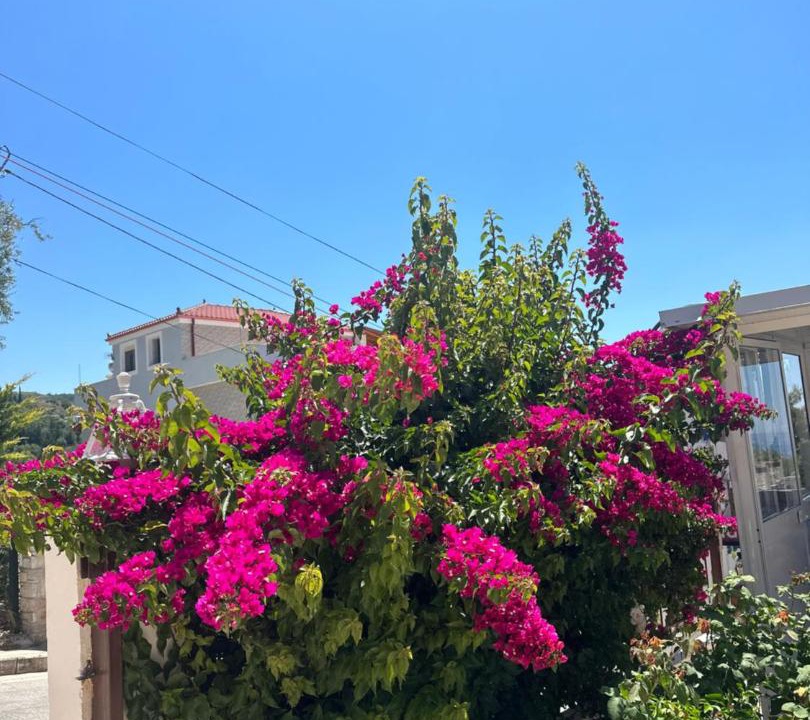 Photo of Others in Dhermi