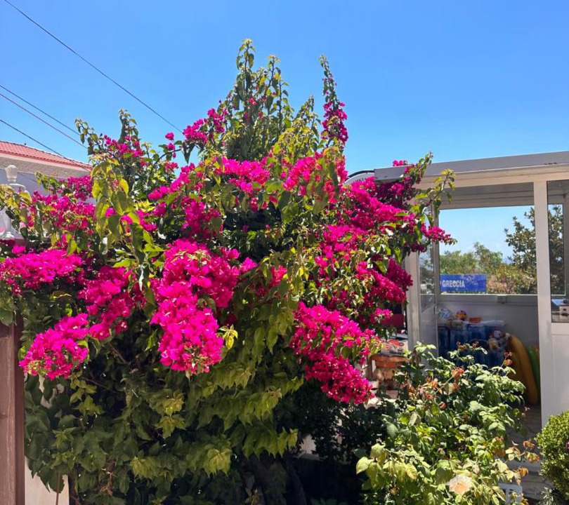 Photo of Others in Dhermi