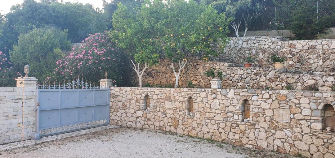 Photo of Others in Tzavros