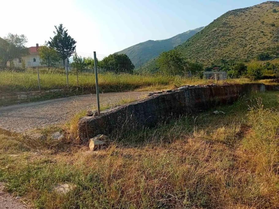 Photo of Others in Dimitra Arkadias