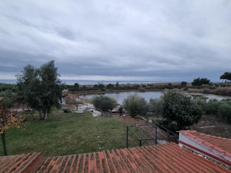 Photo of Others in Ormilia