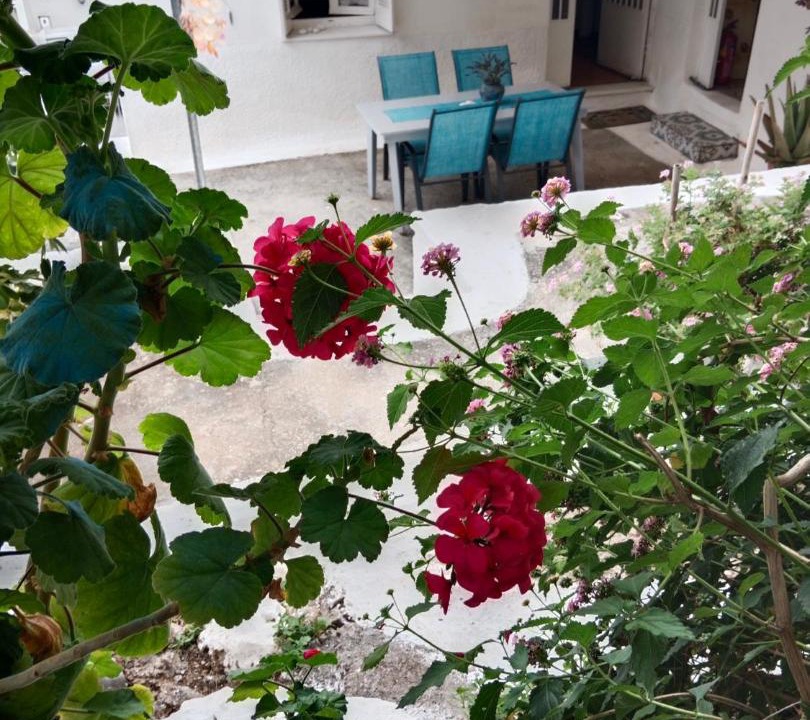 Photo of Others in Pylos