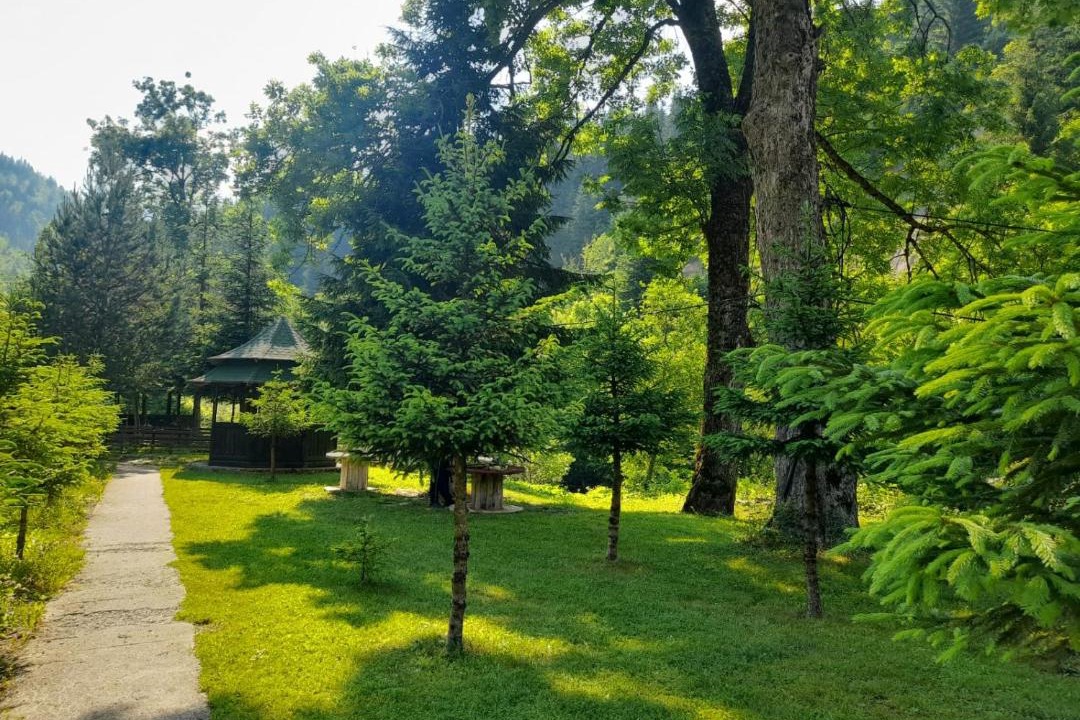 Photo of Others in Pejë
