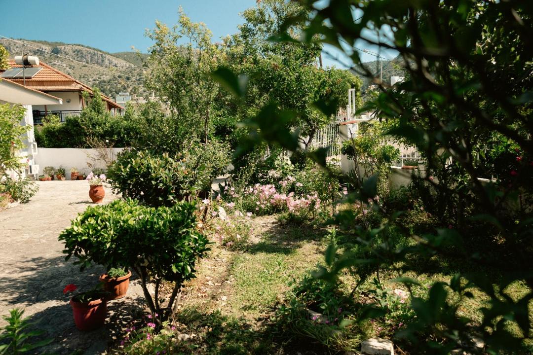 Photo of Others in Plataria