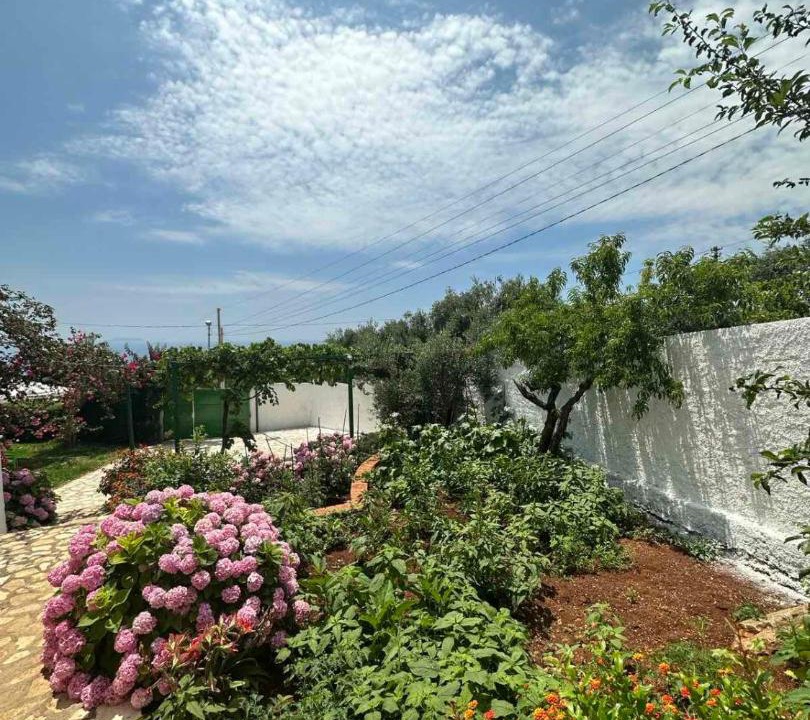 Photo of Outdoor in Dhermi