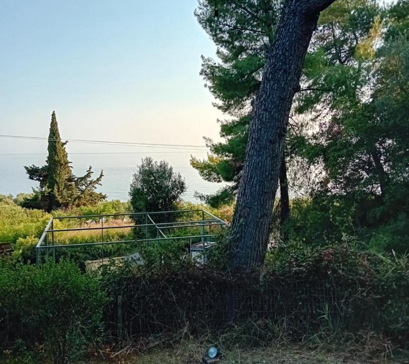 Photo of Others in Kassandra