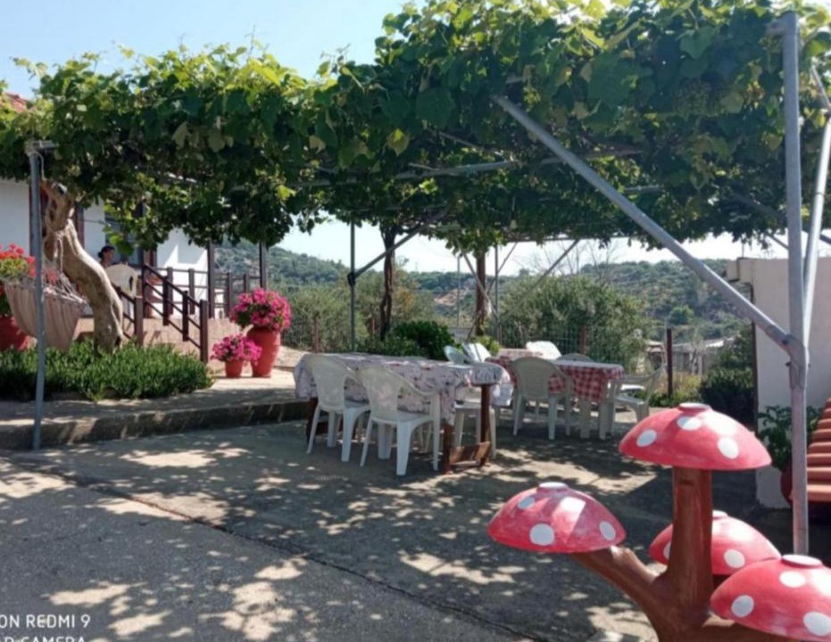 Photo of Others in Aliki