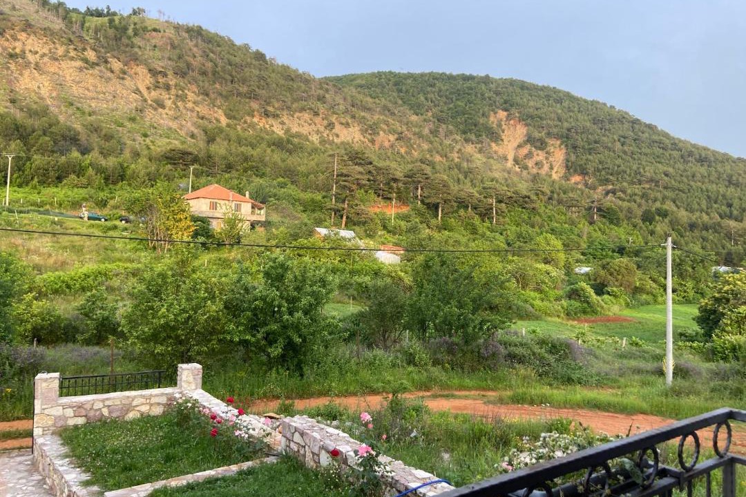 Photo of Others in Elbasan