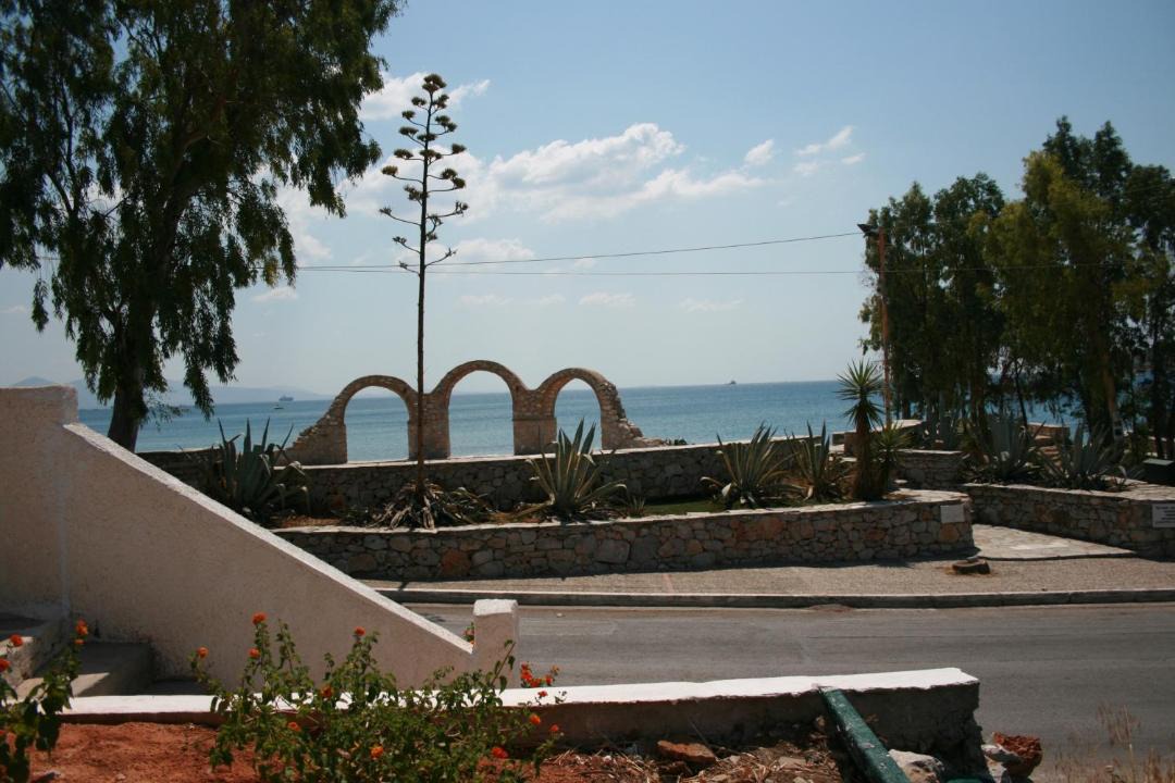 Photo of Others in Selinia
