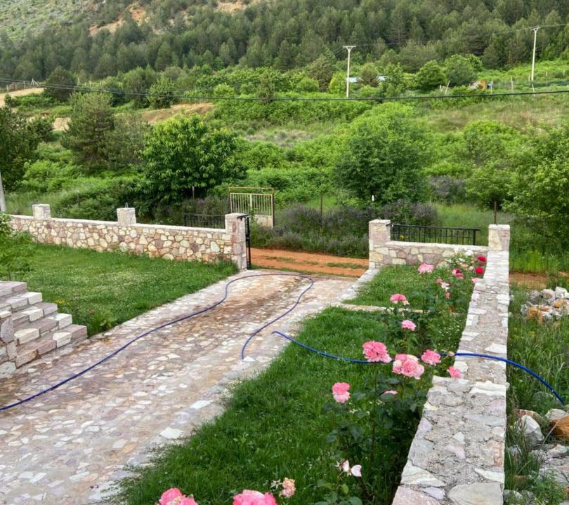 Photo of Others in Elbasan