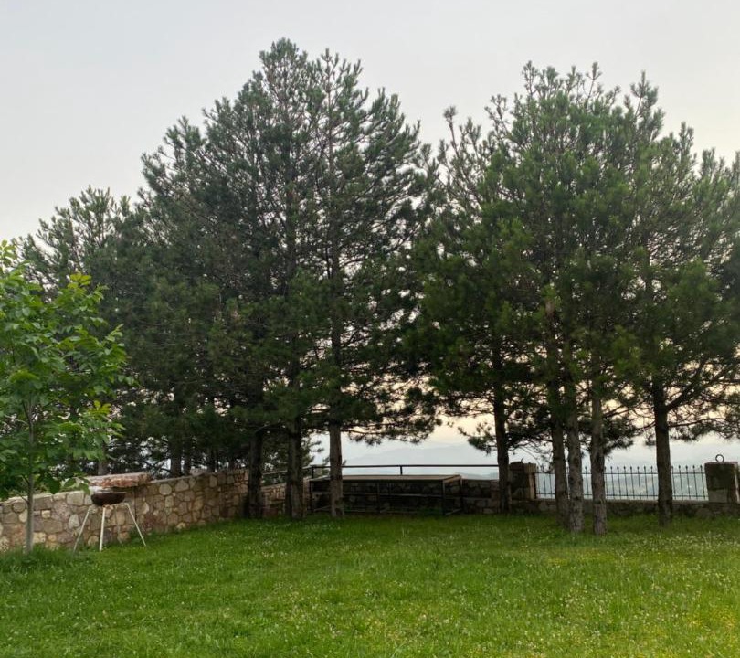 Photo of Others in Elbasan