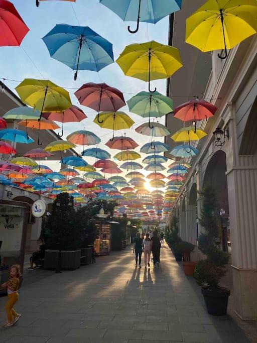 Photo of Others in Prizren