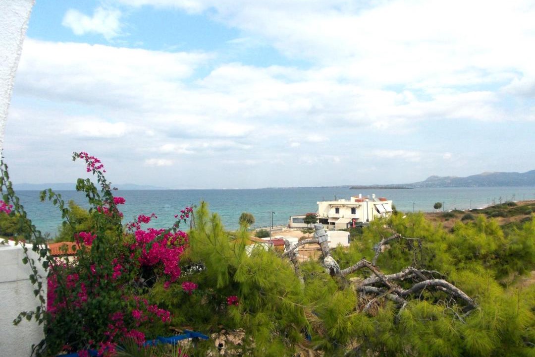 Photo of Others in Milos