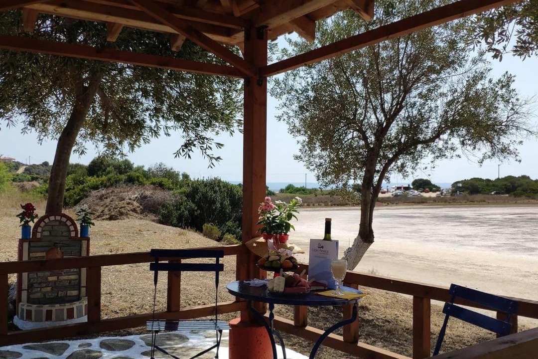 Photo of Others in Aristotelis