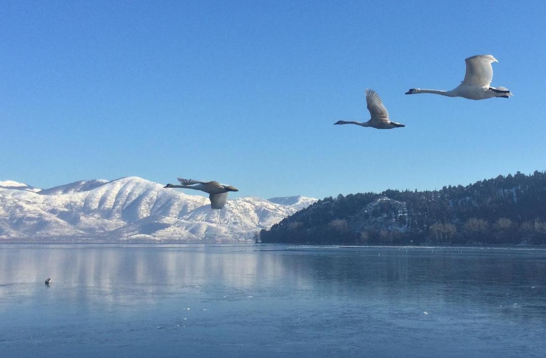 Photo of Outdoor in Kastoria