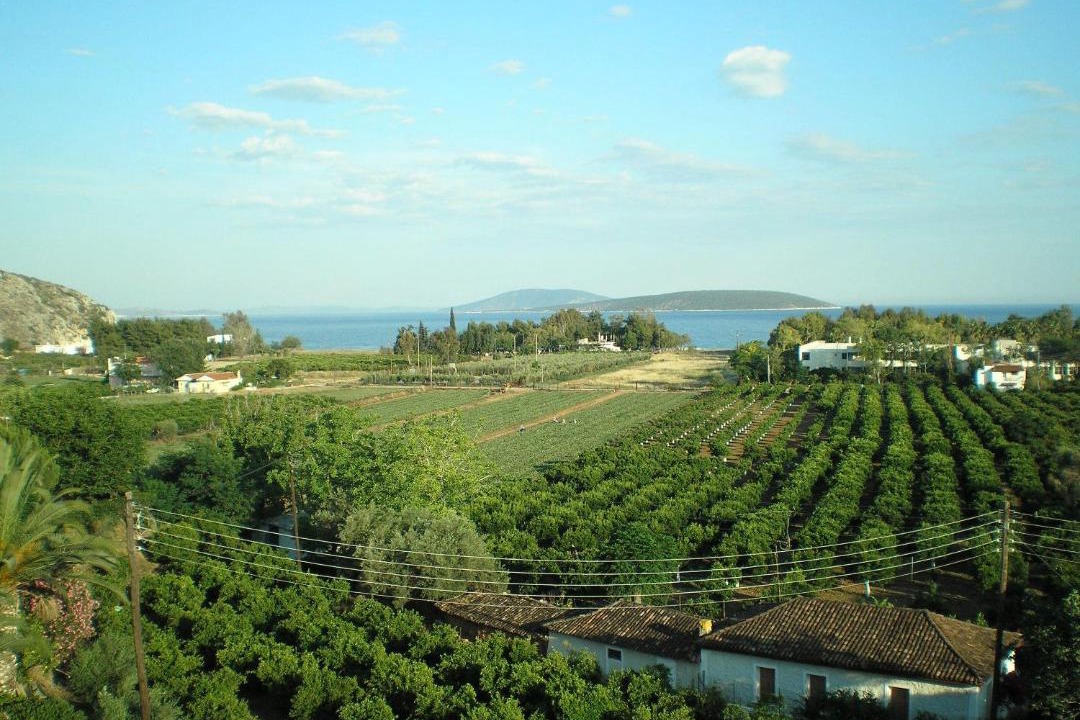 Photo of Others in Drepano