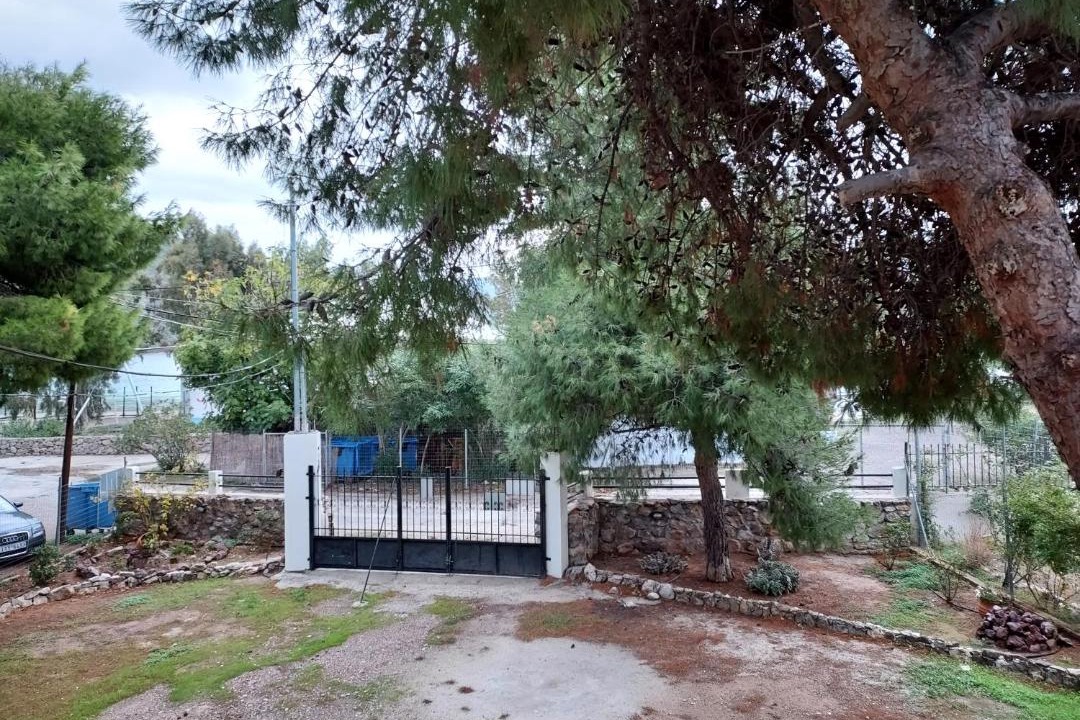 Photo of Others in Loutraki-Agioi Theodoroi