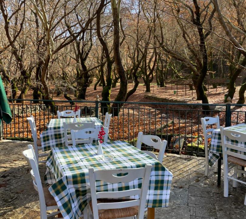 Photo of Others in Kalavrita