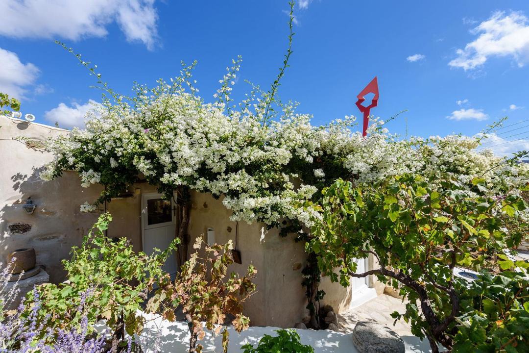Photo of Others in Lefkes