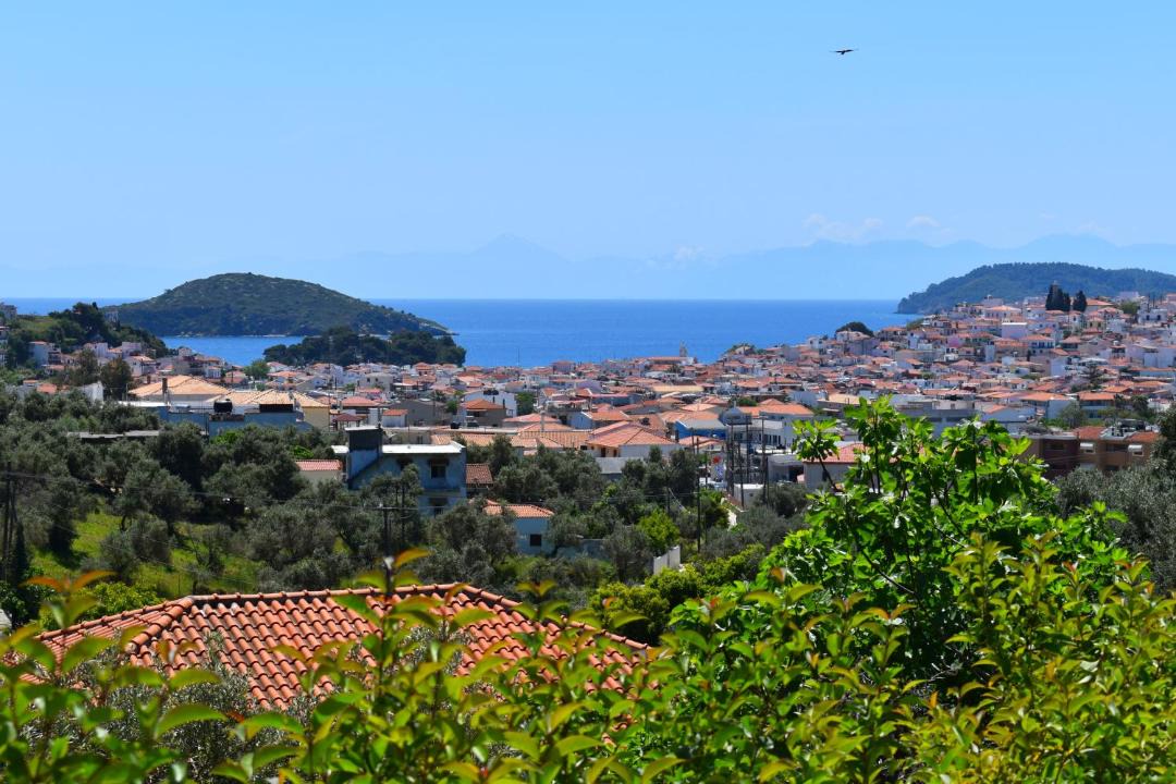 Photo of Others in Skiathos Town