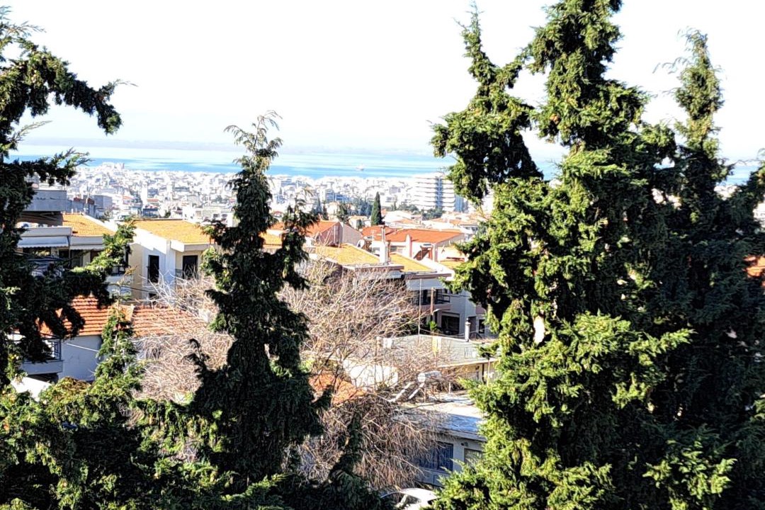 Photo of Others in Pylaia-Chortiatis