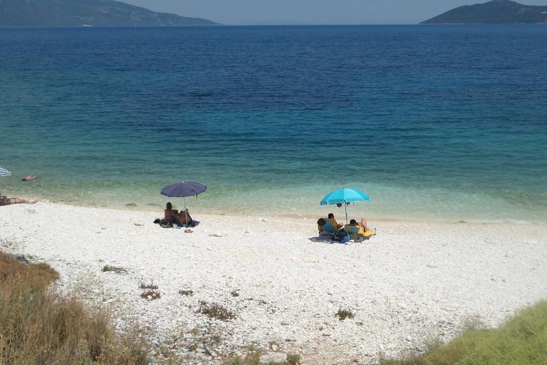 Photo of Others in Kounopetra