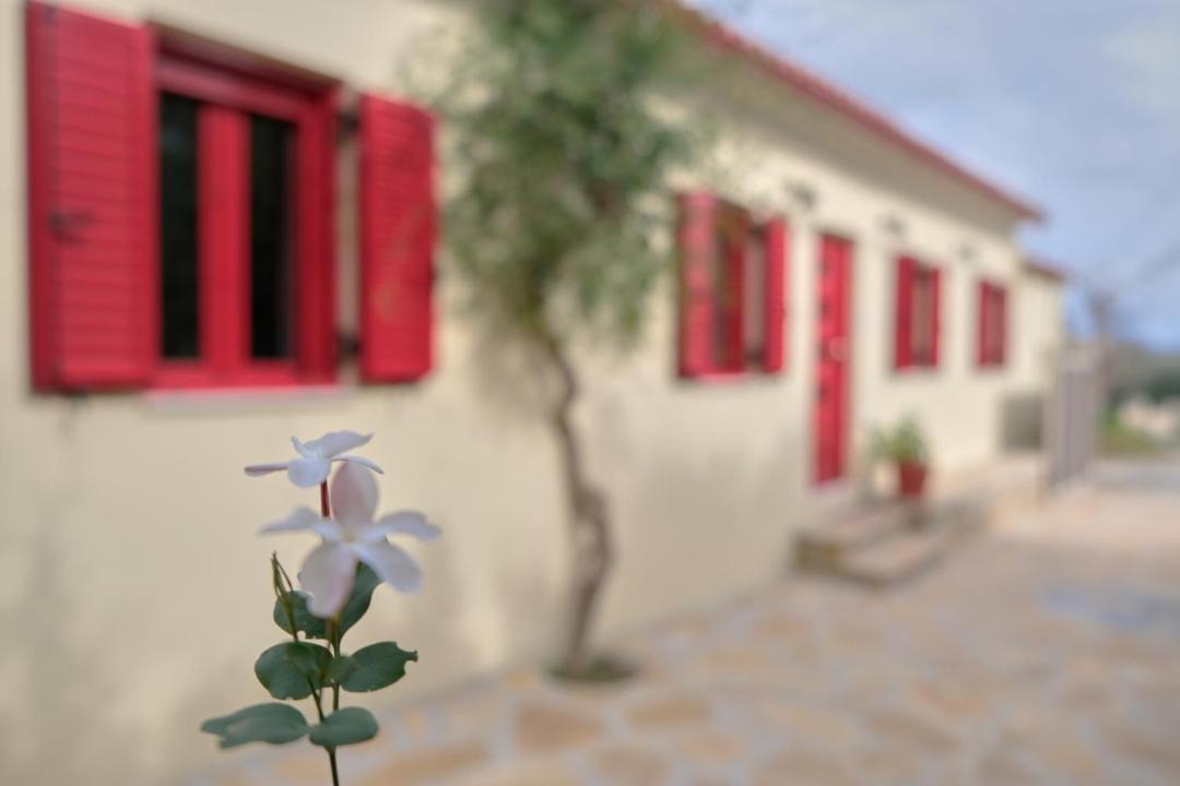 Photo of Buildings in Drosia
