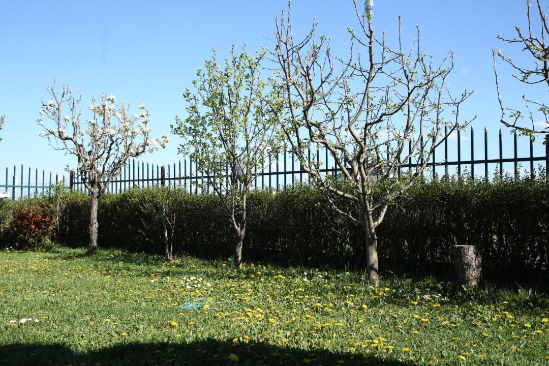 Photo of Others in Ferizaj