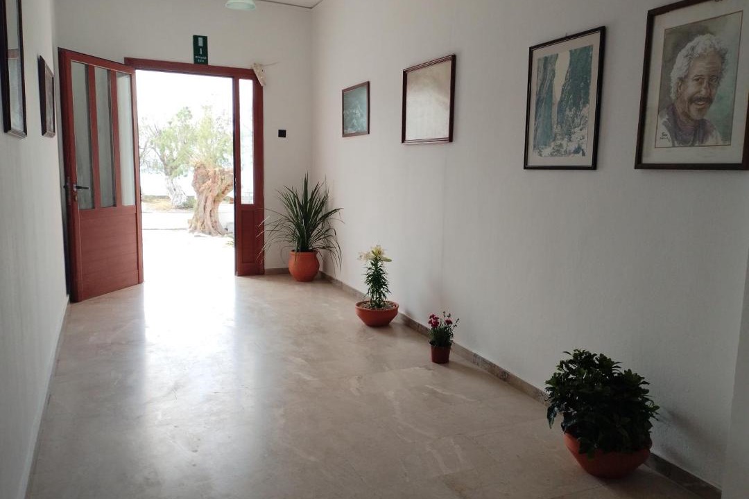 Photo of Others in Sougia