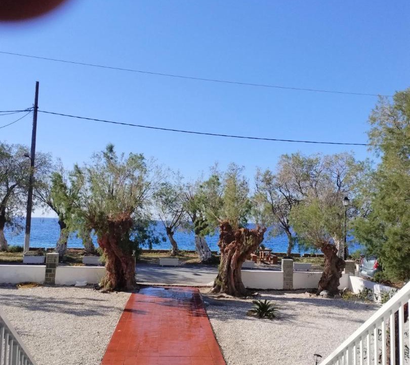Photo of Others in Sougia