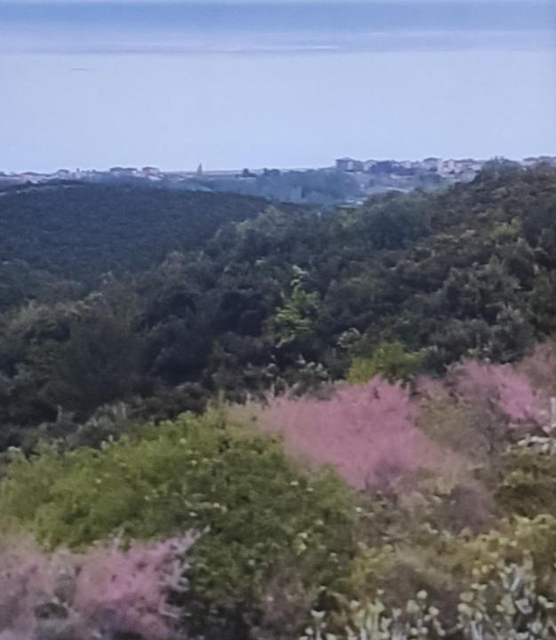 Photo of Others in Aigani
