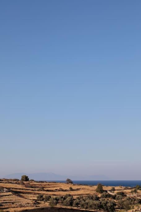 Photo of Outdoor in Moutsouna