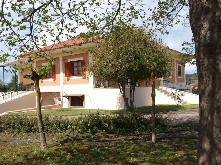 Photo of Buildings in Leventochori