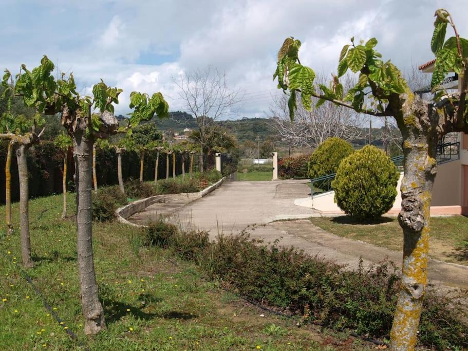 Photo of Others in Leventochori