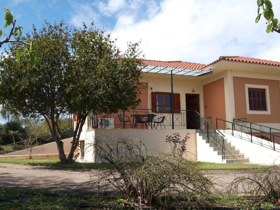 Photo of Buildings in Leventochori