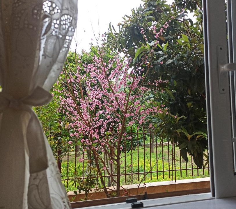 Photo of Patio Balcony in Livadi