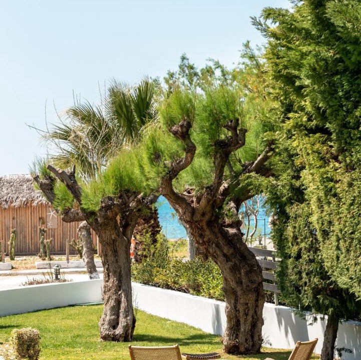 Photo of Others in Plakias
