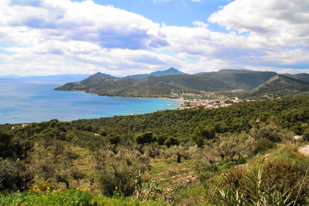Photo of Others in Agia Marina