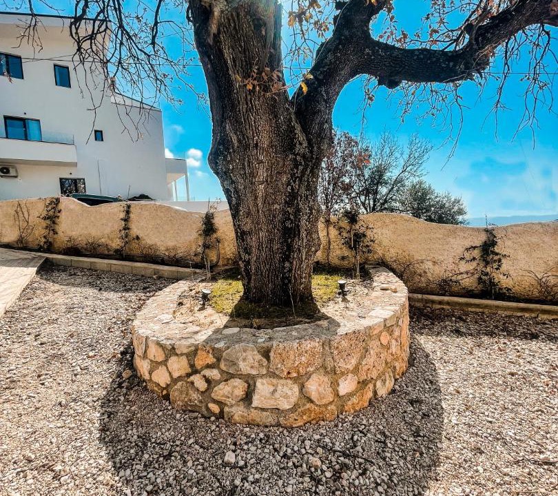 Photo of Others in Dhermi