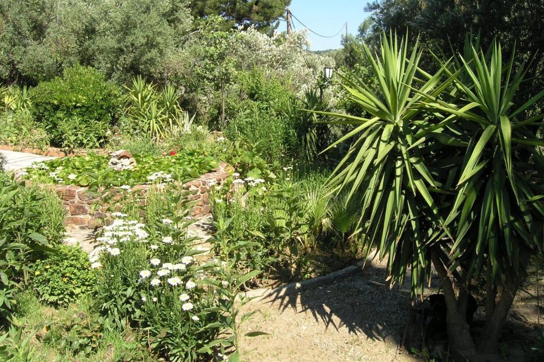 Photo of Outdoor in Mytilene