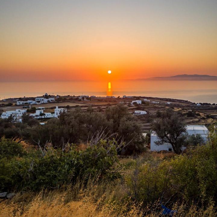 Photo of Others in Apollonia