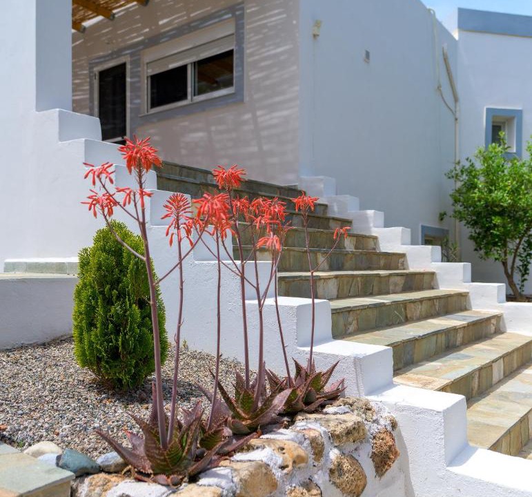Photo of Others in Pefkos