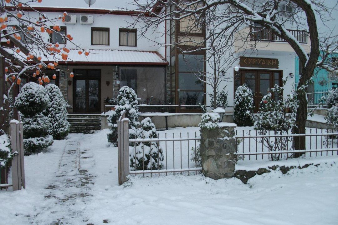 Photo of Others in Vergina