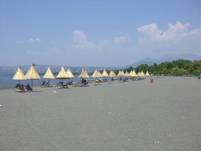 Photo of Others in Shengjin
