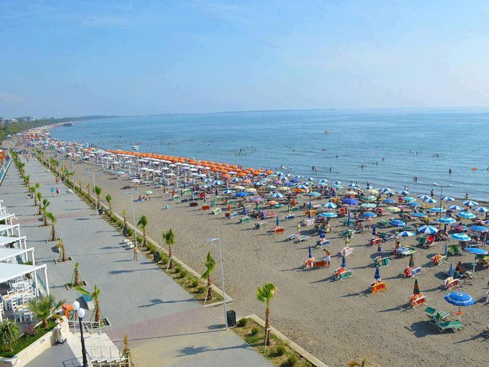 Photo of Others in Shengjin